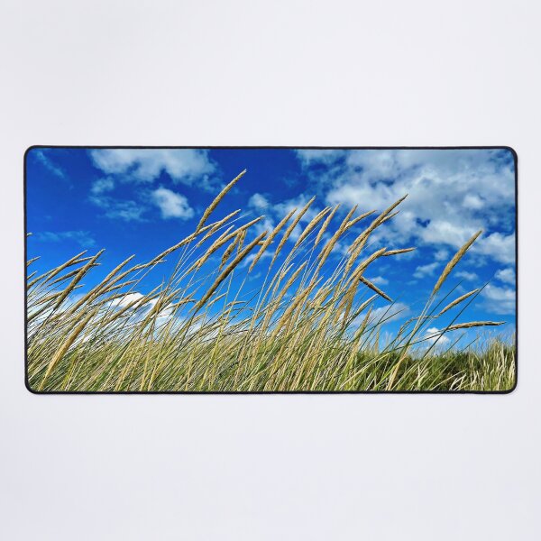 Item preview, Blades of grass against a blue sky – the simple beauty of nature designed and sold by beatbieri.ch.