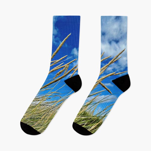 Item preview, Blades of grass against a blue sky – the simple beauty of nature designed and sold by beatbieri.ch.