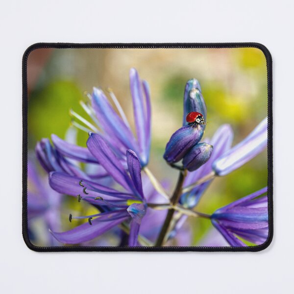 Item preview, Ladybug perched on top of a camas flower designed and sold by lisavonbiela.