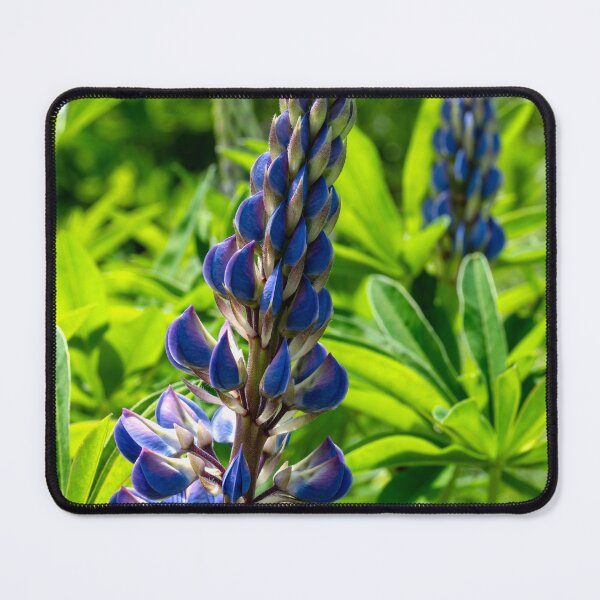 Item preview, Purple lupine in pollinator field designed and sold by lisavonbiela.