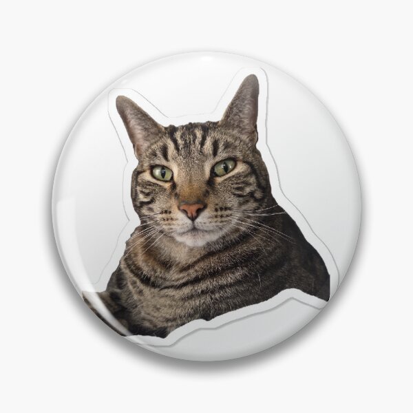 Item preview, Kitters is Very Hambsomb designed and sold by Theon Purrjoy and Friends.