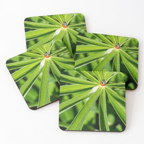 Item preview, Ladybig perched in the center of a lupine leaf designed and sold by lisavonbiela.