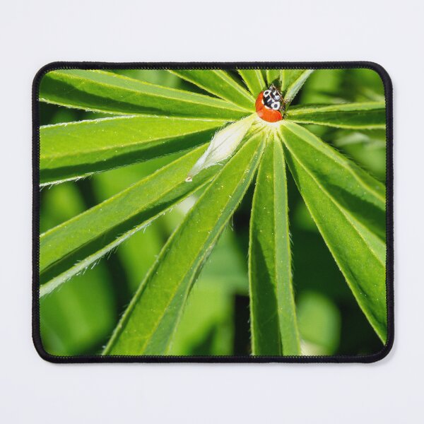 Item preview, Ladybig perched in the center of a lupine leaf designed and sold by lisavonbiela.