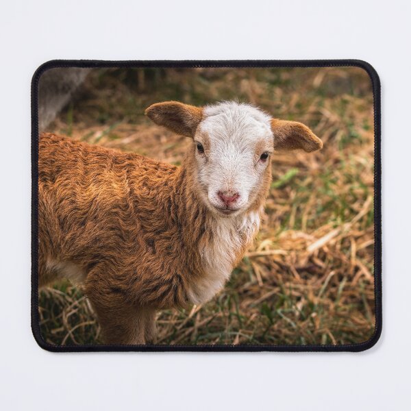 Item preview, Gentle Expression designed and sold by Jim Love.