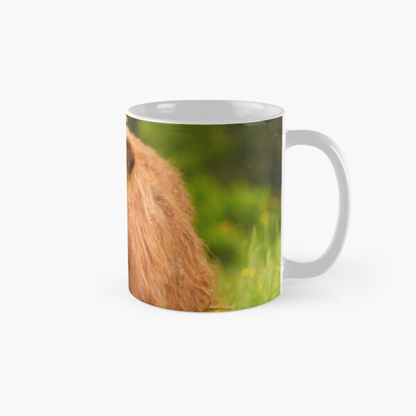 Item preview, Scottish Highland Cattle – Majesty in Fur and Horns designed and sold by beatbieri.ch.