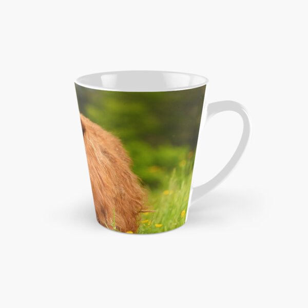 Item preview, Scottish Highland Cattle – Majesty in Fur and Horns designed and sold by beatbieri.ch.