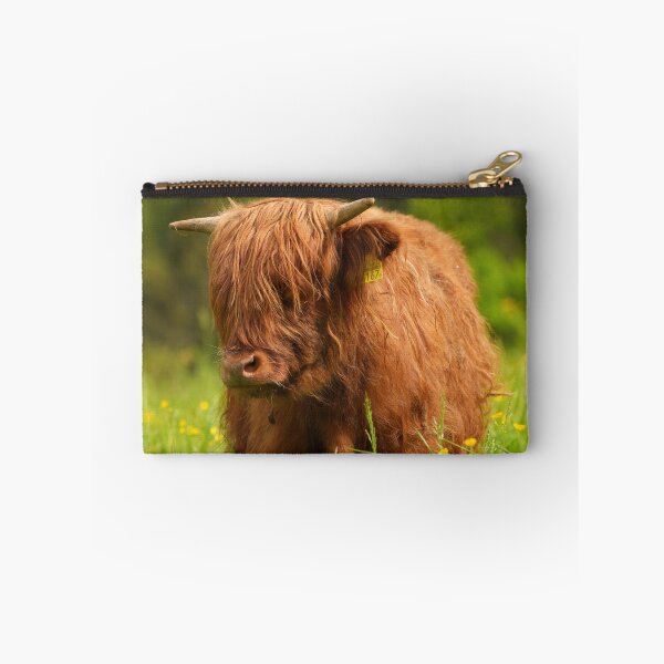 Item preview, Scottish Highland Cattle – Majesty in Fur and Horns designed and sold by beatbieri.ch.