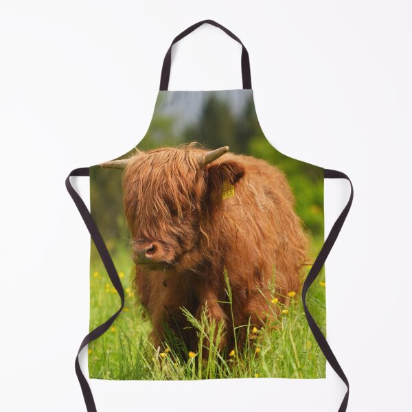 Item preview, Scottish Highland Cattle – Majesty in Fur and Horns designed and sold by beatbieri.ch.