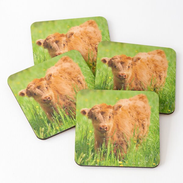 Item preview, Scottish Highland calf – fluffy charm from the Highlands designed and sold by beatbieri.ch.