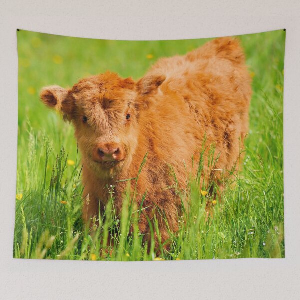 Item preview, Scottish Highland calf – fluffy charm from the Highlands designed and sold by beatbieri.ch.