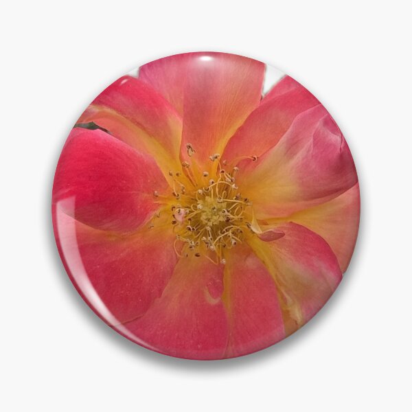 Item preview, Radiant Rose Glow – Pink and Yellow Floral Close-Up designed and sold by RhyAndBlues.