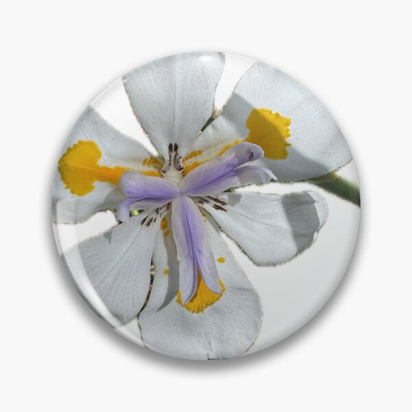 Item preview, White African Iris – Delicate Botanical Flower Art designed and sold by RhyAndBlues.
