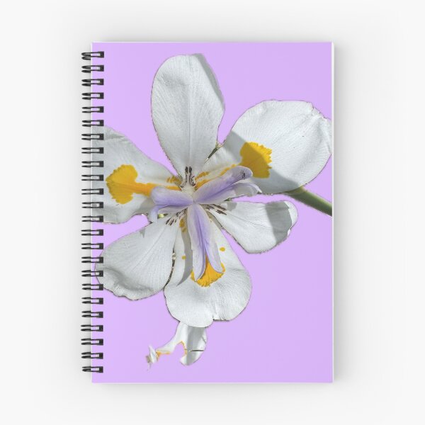 Item preview, White African Iris – Delicate Botanical Flower Art designed and sold by RhyAndBlues.