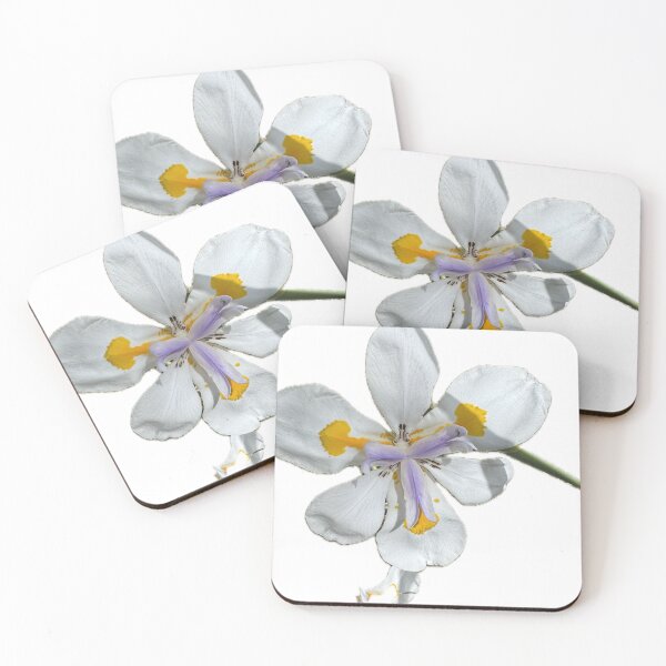 Item preview, White African Iris – Delicate Botanical Flower Art designed and sold by RhyAndBlues.