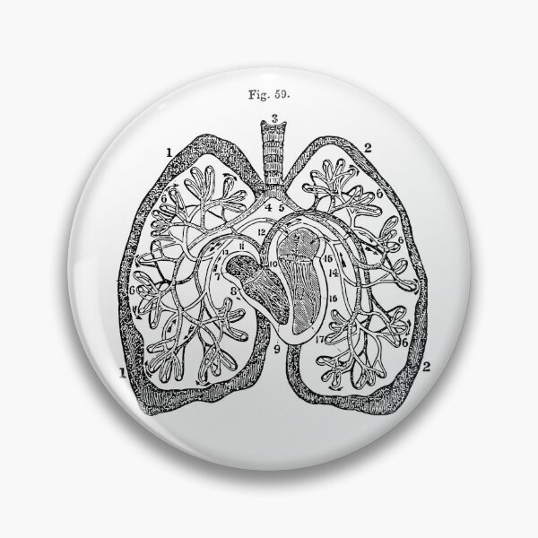 Item preview, Pulmonary Circulation - Anatomical Engraving designed and sold by WorldLily.