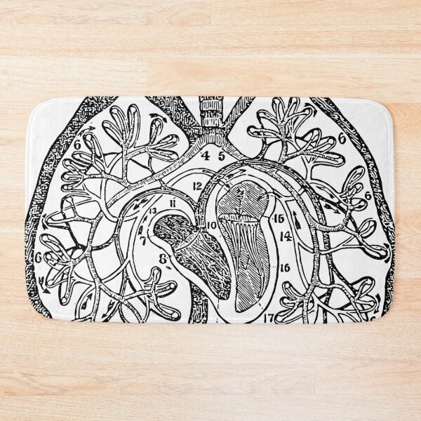 Item preview, Pulmonary Circulation - Anatomical Engraving designed and sold by WorldLily.