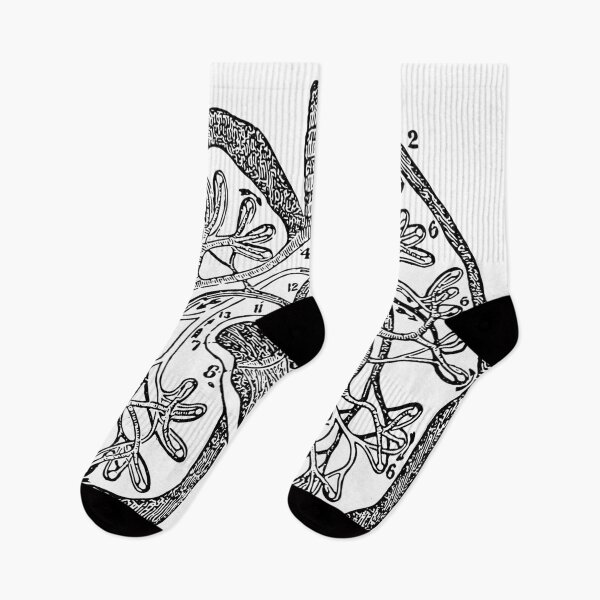 Item preview, Pulmonary Circulation - Anatomical Engraving designed and sold by WorldLily.