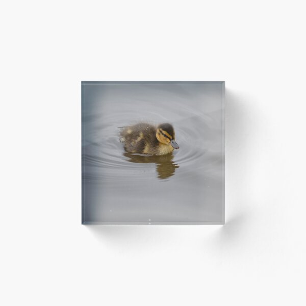 Item preview, Duckling designed and sold by Rob Gemmell.