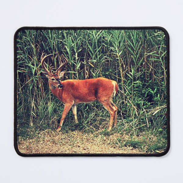 Item preview, The Buck designed and sold by tori yule.