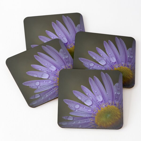 Item preview, Gotas de lluvia sobre la flor de aster designed and sold by Cblifeisgood.