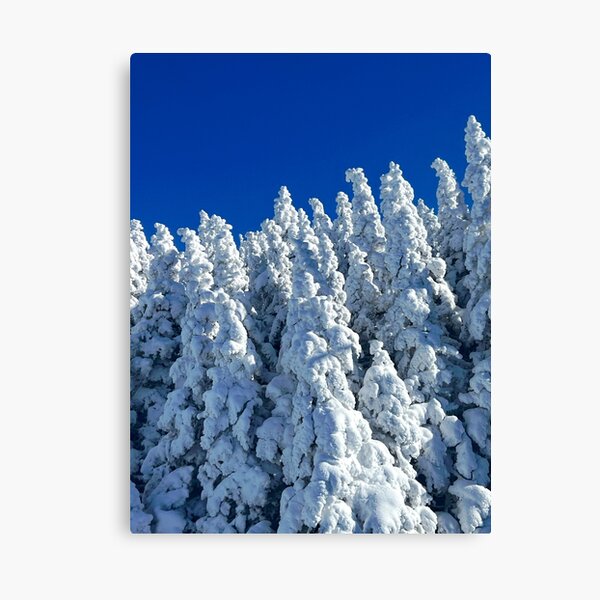 Item preview, Snowy Trees designed and sold by Skigirl165.