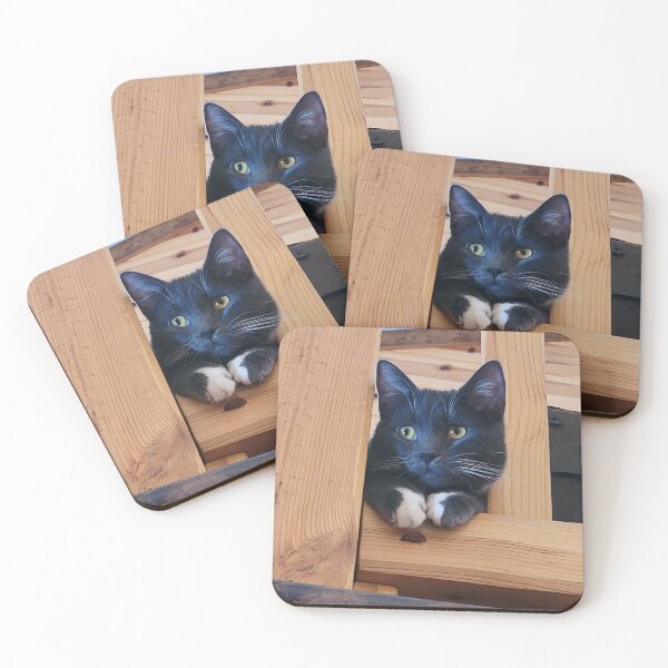 Item preview, Thoughtful Silver Tuxedo Cat designed and sold by Rebecca Jane.