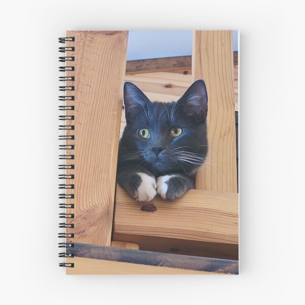 Item preview, Thoughtful Silver Tuxedo Cat designed and sold by Rebecca Jane.