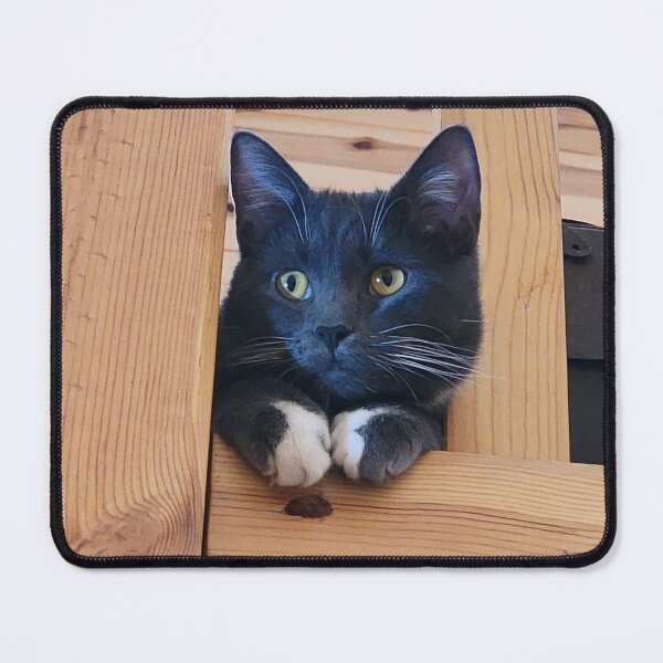 Item preview, Thoughtful Silver Tuxedo Cat designed and sold by Rebecca Jane.