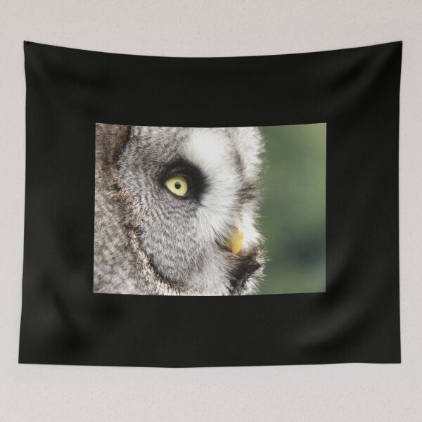 Item preview, Great Grey Owl side on designed and sold by derbyshireduck.