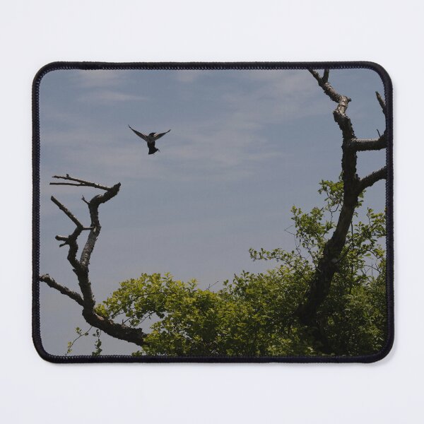 Item preview, Flight of the Red Wing Blackbird designed and sold by Mass Monumentalist.