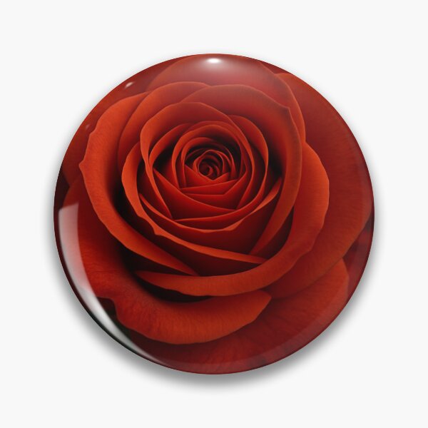 Aperçu de l'œuvre Belle rose rouge créée et vendue par PurplePack.
