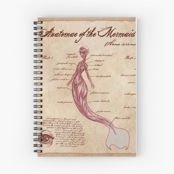 Item preview, Anatomy of the Mermaid designed and sold by awkaffections.