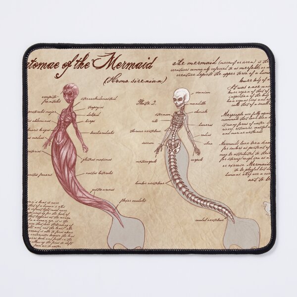 Item preview, Anatomy of the Mermaid designed and sold by awkaffections.
