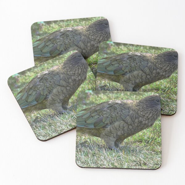 Item preview, Kea Posing designed and sold by Larry Davis.