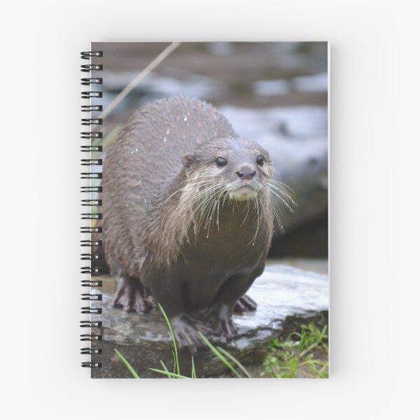 Item preview, Otter designed and sold by Rob Gemmell.