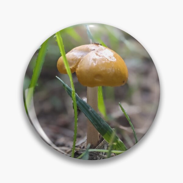 Item preview, Shroom After Rain designed and sold by TheRealDanniX.