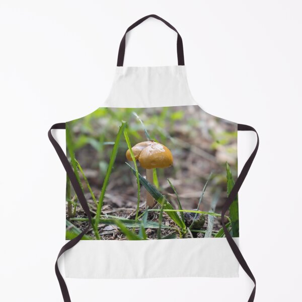 Item preview, Shroom After Rain designed and sold by TheRealDanniX.