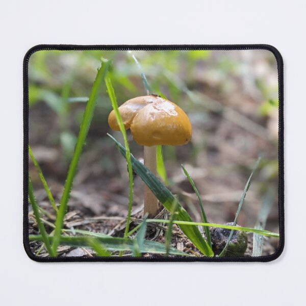 Item preview, Shroom After Rain designed and sold by TheRealDanniX.