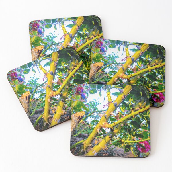 Item preview, Rootful Thorns of a Rose designed and sold by LizyFruitBatPrints.