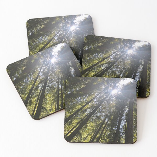 Item preview, Where the Light Meets the Trees designed and sold by frankergas.