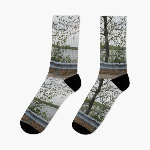 Item preview, Tree by the Lake designed and sold by Amanda1775.