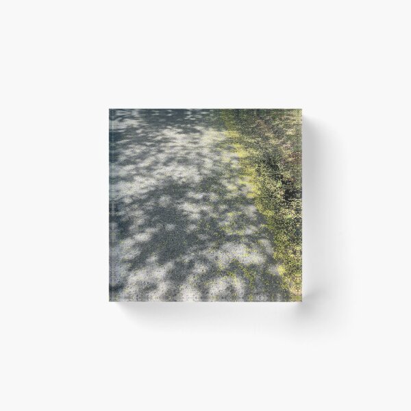 Item preview, Dappled Road  designed and sold by Amanda1775.