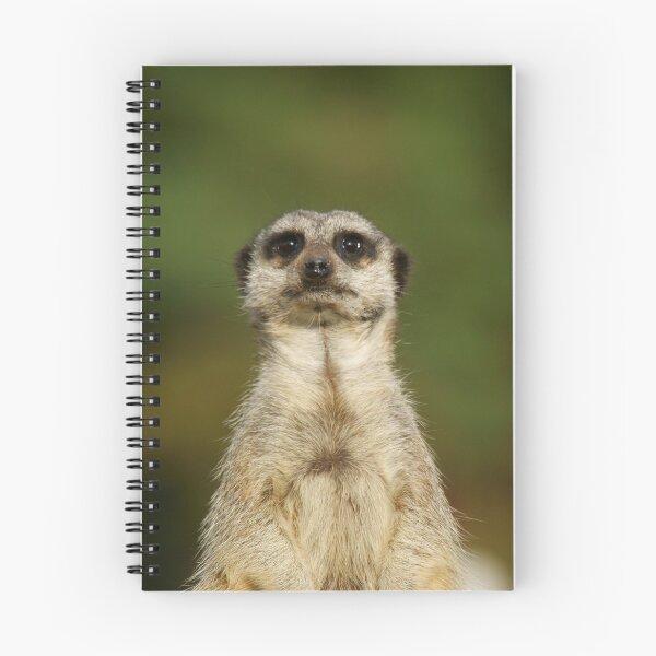 Item preview, Meerkat designed and sold by Andy Beattie.