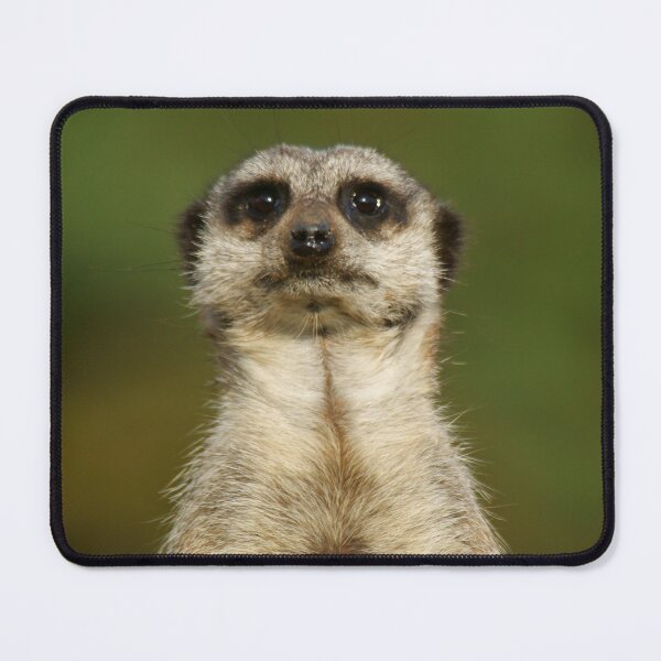 Item preview, Meerkat designed and sold by Andy Beattie.