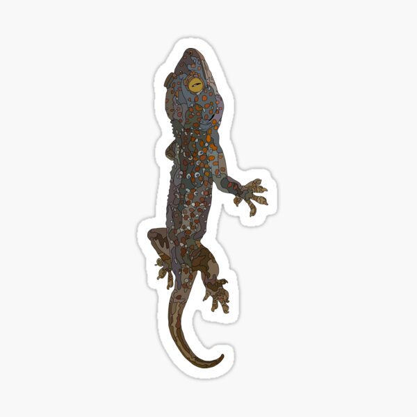 Item preview, Tokay Gecko designed and sold by Sophiehammond.