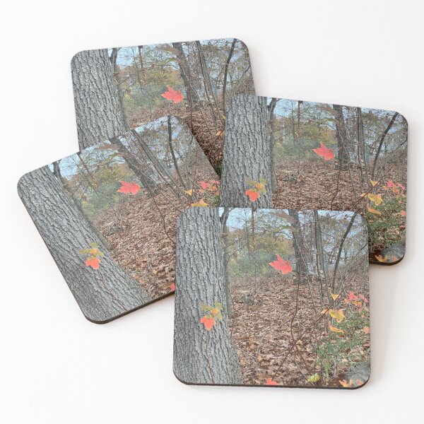 Item preview, The Last Few Colorful Leaves Hanging On  designed and sold by Amanda1775.