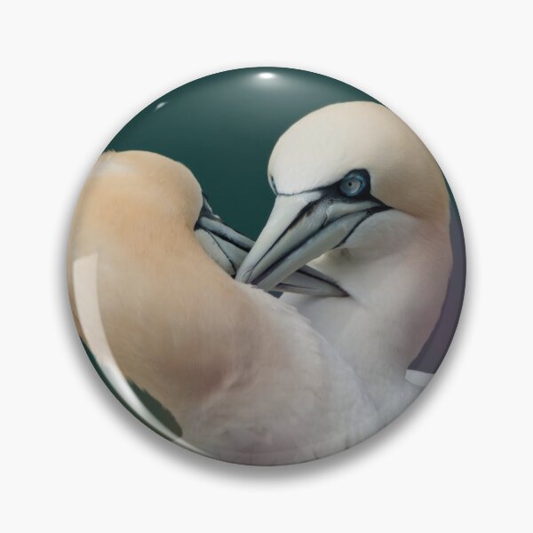 Item preview, Northern Gannets designed and sold by Andy Beattie.