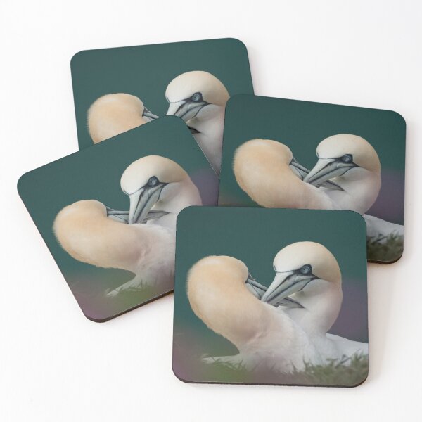 Item preview, Northern Gannets designed and sold by Andy Beattie.