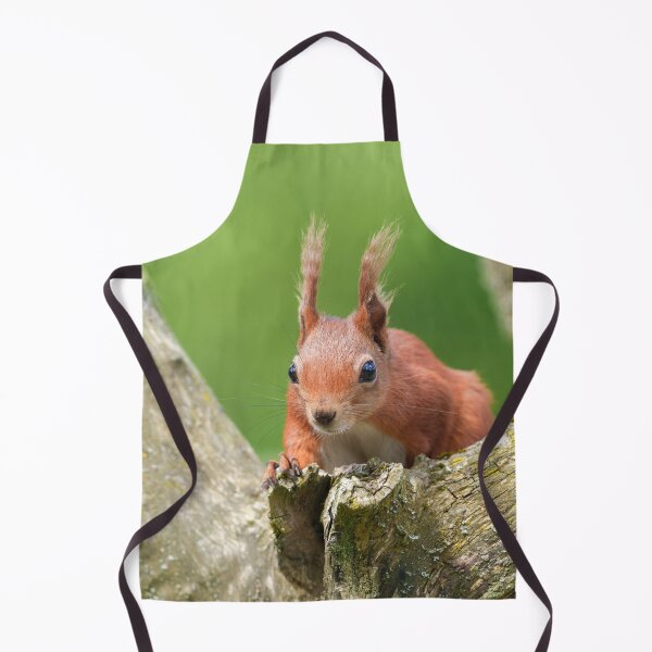 Item preview, Red Squirrel Peeking from Tree Branch designed and sold by rawshutterbug.