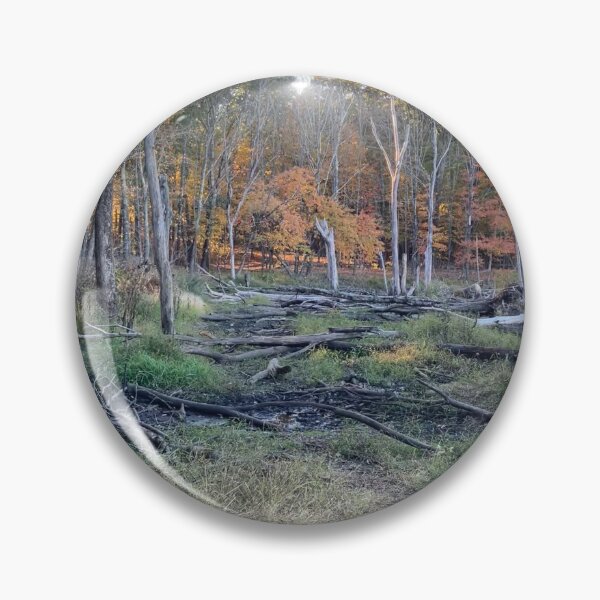 Item preview, Where the Path Once Was designed and sold by Amanda1775.